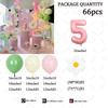 66pcs Macaron Latex Balloon Arch Set Daisy-themed Birthday Party Decor Baby Shower Gender Reveal Anniversary Wedding Supplies