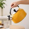 Large Capacity Portable Whistling Kettle for Tea And Coffee, Induction Hobs.