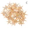 Sea Shells Size:0.5-3Cm 100Pcs Mini Starfish Craft Decoration Natural Sea Stars