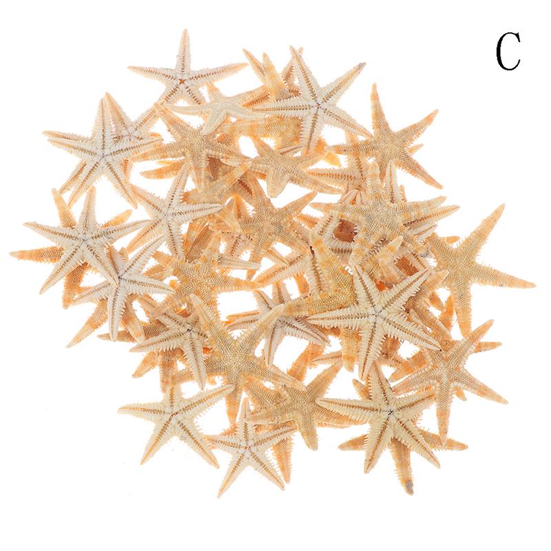 Sea Shells Size:0.5-3Cm 100Pcs Mini Starfish Craft Decoration Natural Sea Stars