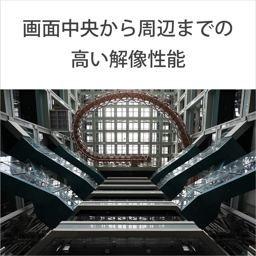 Sony SEL16F18G Prime FE 16mm G Genuine Lens for Digital SLR Cameras Wide-Angle Lens, F1.8 Lens, Full-Frame [E-Mount]