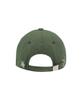 Leinleim Unisex Bio-Washed Round Logo Ball Cap Green