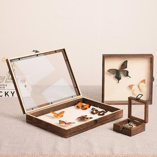Dobře viditelná vitrína Velký stínový box na hmyz Dřevěná konstrukce Více velikostí Hladký okraj Vzorky hmyzu Úložná vitrína