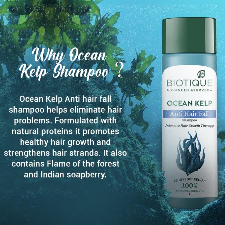 Biotique Bio Kelp Protein Shampoo For Hair Growth Treatment – 120ml For Men & Women, Anti Hair Fall, Natural Shine