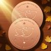 Coppers Cleaning Plate For Birdbaths Eliminates Frequent Maintenance Saves 120 Minutes Monthly