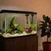 Plastic Fish Shrimp Shelter Fish Tank Decoration  for Fish Tank Aquarium Landscaping