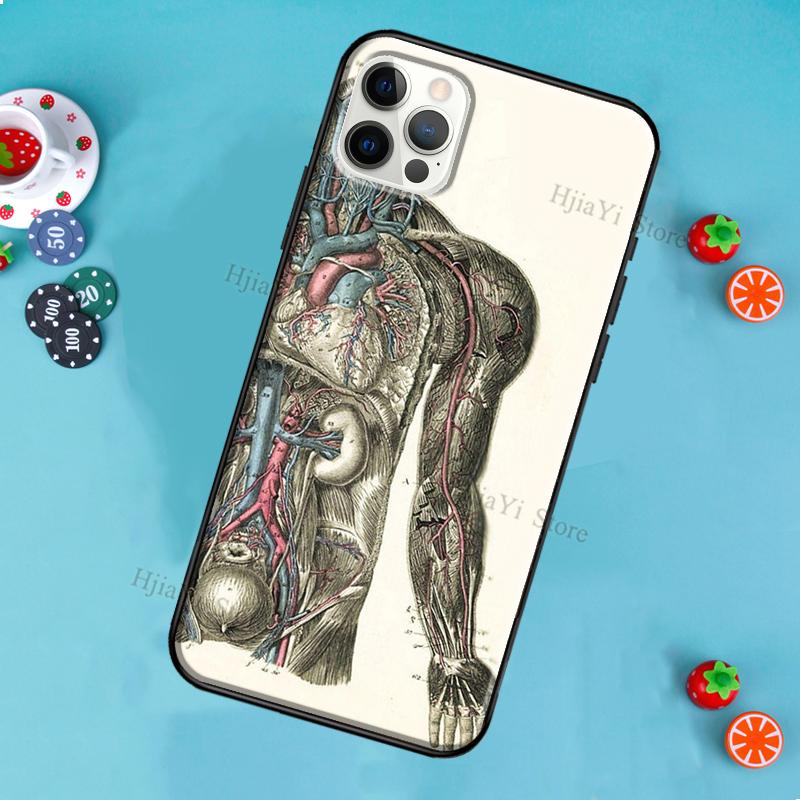 Medical Human Anatomy Phone Case For iPhone 12 Pro Max 13 Mini SE 2020 8 7 Plus 11 14 Pro Max X XS Max XR Cover