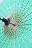 Smiti Japanese paper 84cm black cherry blossom umbrella, parasol, oil-treated, diameter, frame, design, green.
