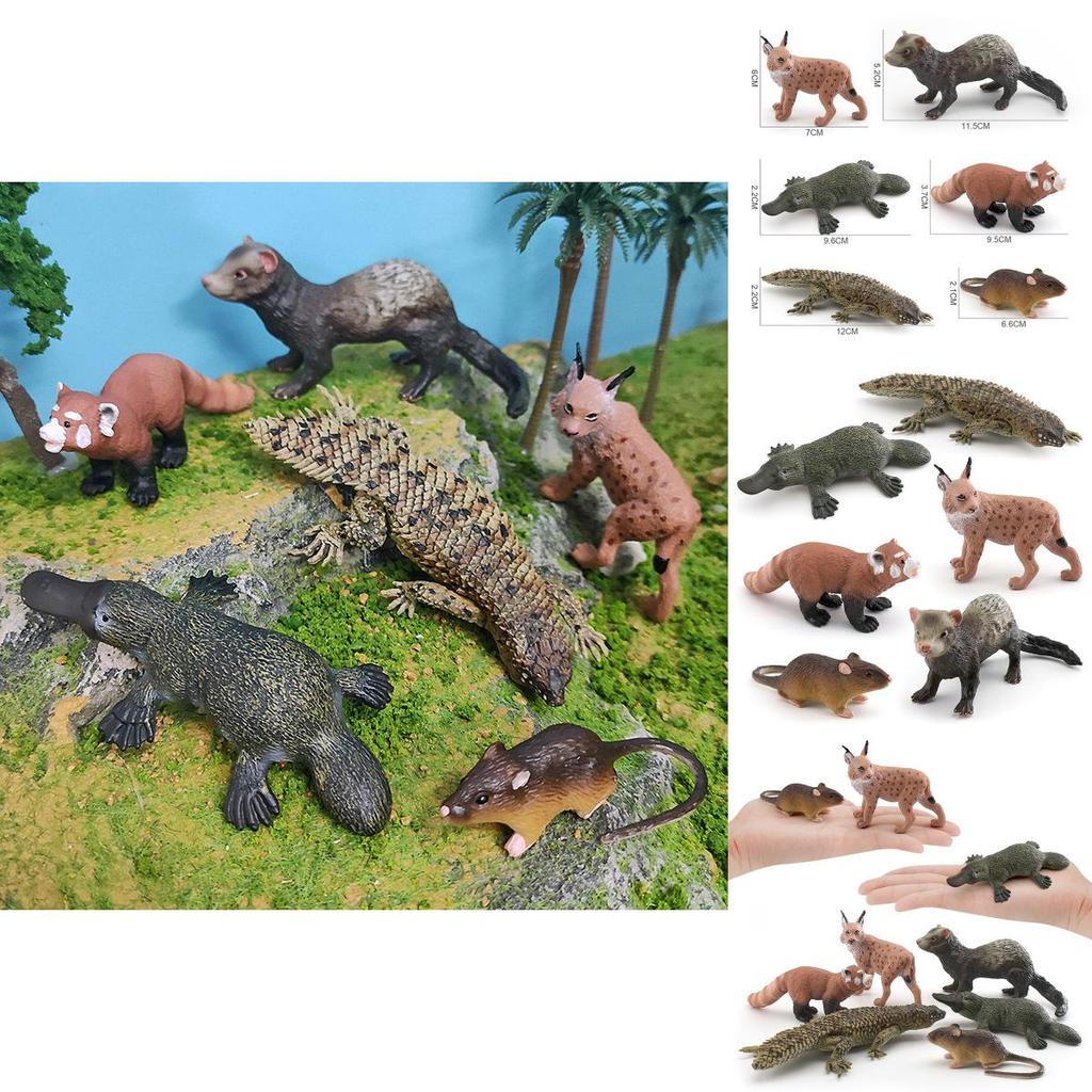 Exquisite Plastiktierfiguren, einschließlich Kurzschwanzluchs, Roter Panda und einzigartiges Schnabeltier, ideal für Heimdekoration und Bildungszwecke