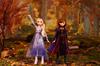Disney Frozen 2 Forest Expedition Fashion Doll Playset with and Honey Melen Limited Edition Anna, Elsa, Ryder, -