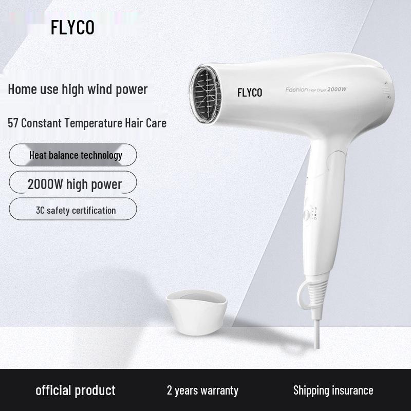 Flyco High Power Foldable Hair Dryer with Negative Ions for Damage-Free Quick Drying
