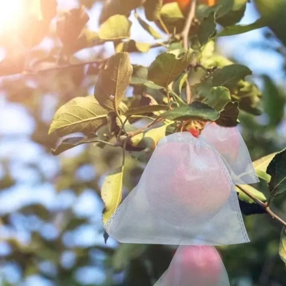 100Pcs Anti-bird Nursery Bags Breathable Insect Barrier Pouch  Garden Greenhouse