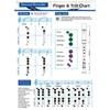 Recorder Fingering & Chord Charts: 8-Hole Guide and Scant Tables.