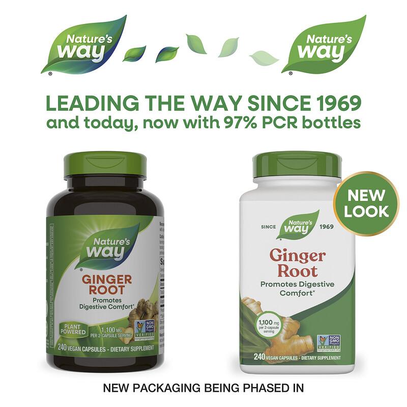 Ginger Root, 240 Vegan Capsules (0.55 mg per Capsule)