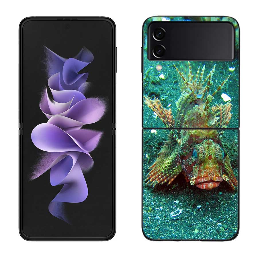 

Clown Fish in the Sea or Ocean Phone Case For Samsung Z Flip 7 6 5G Galaxy Z Flip 5 4 3 Black Hard Cell Cover Luxury PC Shell C Samsung Z Flip 4 5G