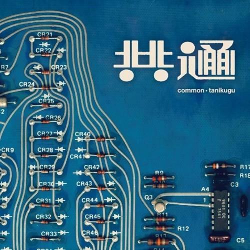 

CD TANIKUGU - common RSD011 Risk System 2015 Japan Dance & Electronica Used