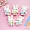 Cartoon Plush Bunny Doll Brooch For Women Cute Little Rabbit Doll Accessories Student Backpack Clothing Decoration Girls