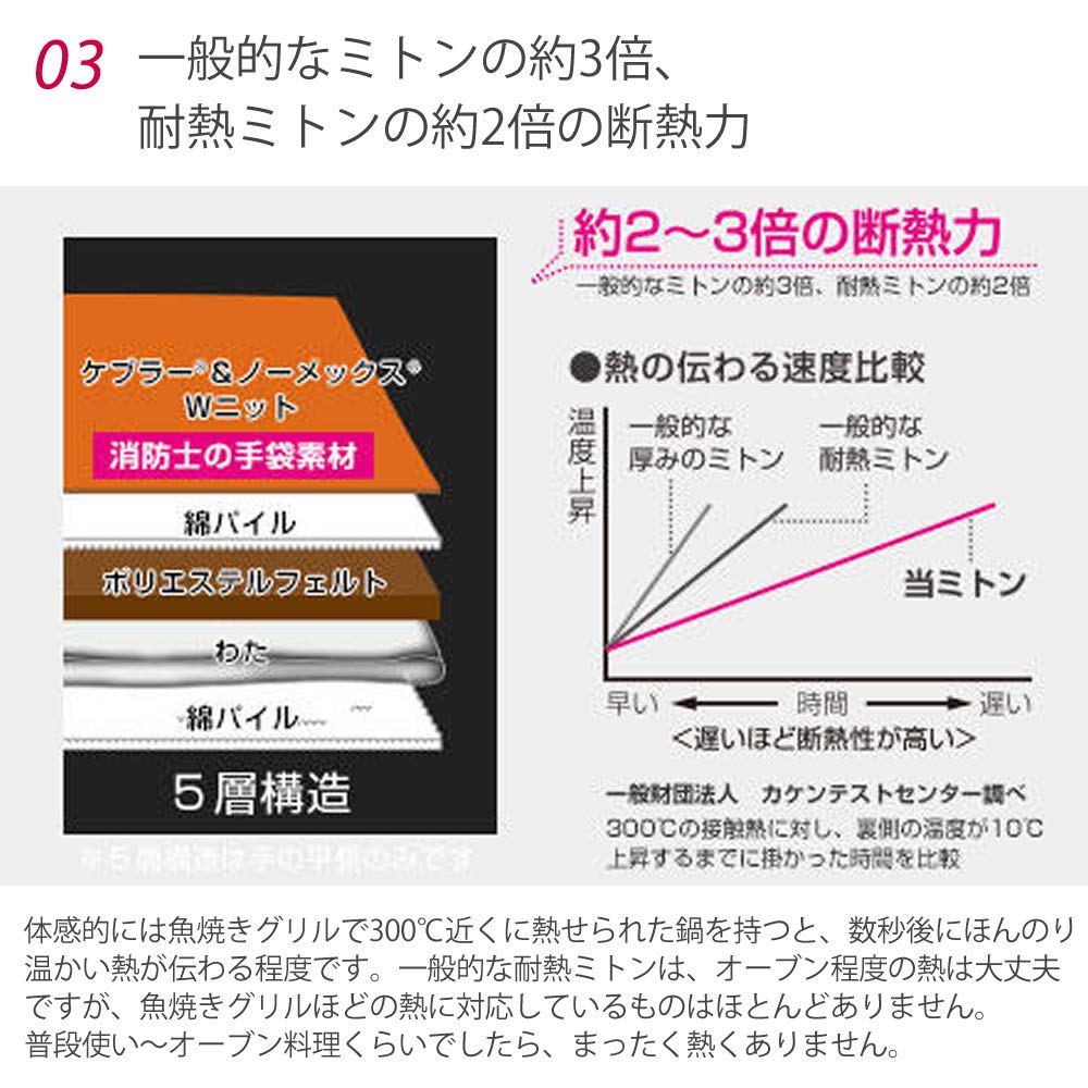 Oaks Raye Mittens, Heat-Resistant, Strong Grip, Set of 2, Pink and Gray, LS1563