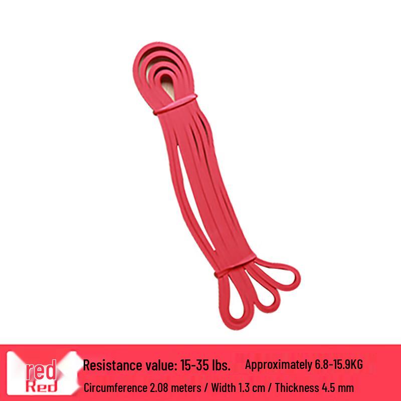 

Zhui Que Pull-Up Resistance Band