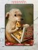 Vintage Tabby Cat Wall Art Aluminum Metal Painting Lollipop Knife Decor 20x30cm