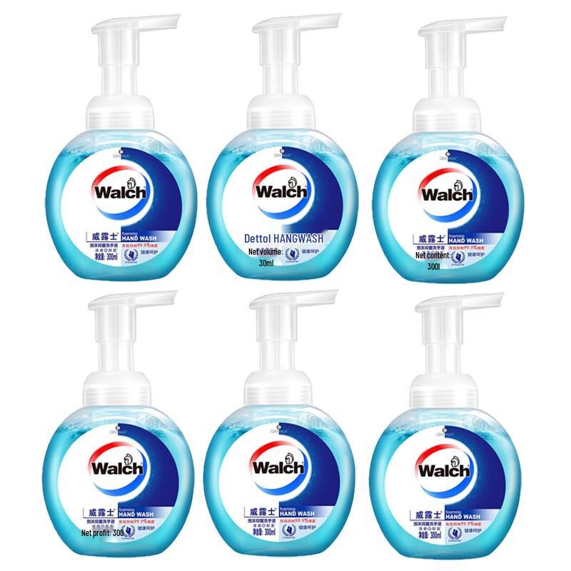 Walch Healthy Care Foaming Hand Wash, 300ml x 6 Pack