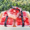 Contenitori Trasparenti per Cupcake per Alimenti 10/50 Pezzi Ermetici Trasparenti Porta Sandwich Torta Scatole da Pasticceria per Feste Catering
