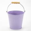 Flower Plant Pots with Handle Iron Potted Hanging Planter Outdoor Flowerpots Basket Bucket Vase Suitable for Food Snacks