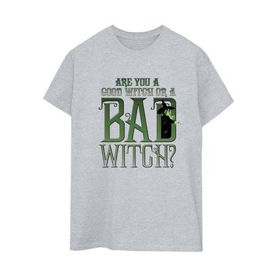 Wizard Of Oz Womens/Ladies Wicked Bad Witch Boyfriend T-Shirt