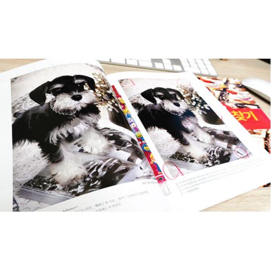 Brain UP Training Find Differences My Pet + World Cooking Set, Korean Popular Puzzles