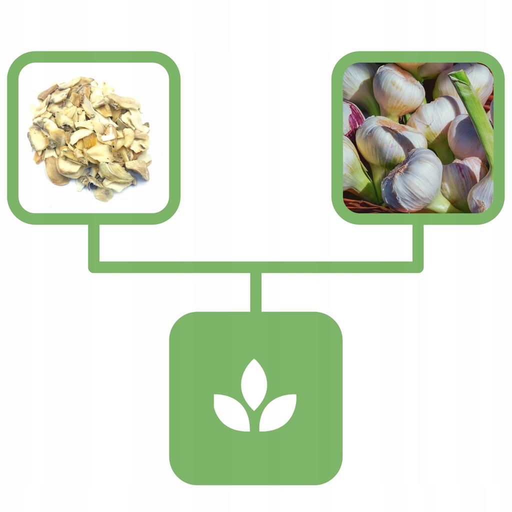Dried Garlic Flakes 1 Kg 100% Natural Shop
