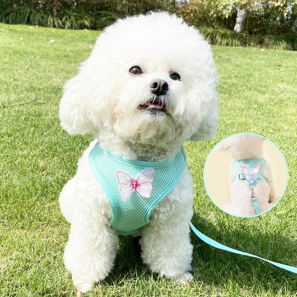 Small Dog Harness and Leash Sets Spring Summer Cute Butterfly Cat Harness and Leash Sets Breathable Dog Harness for Small Dog