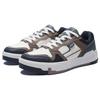 Li Ning ACE V2 Abrasion Resistant Breathable Slip Resistant Low top Skateboard Shoes Men's White Gray Black AGCS155-2