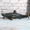 Sharks Model Simulation Marine Ocean Marine Life Toy Animal Rare Model Figure
