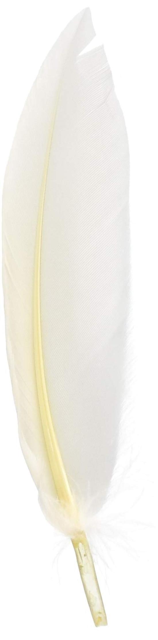 

Двойной набор из 3 маленьких лезвий для чистки свинца