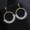 Original fashion personality retro crystal stud earrings female simple temperament versatile long earrings show face thin earrings