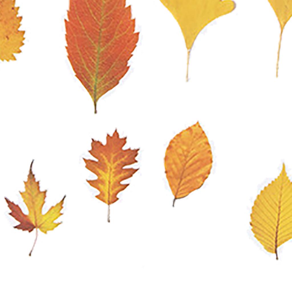 Leaf Scrapbook Stickers Decorative PET Fall Leaves Scrapbooking Decals for Journaling Photo Album 40pcs