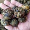 Icelandic Raw Tea Dragon Pearl Yunnan Puerh Tea Gold Mini Tuo Tea 500g