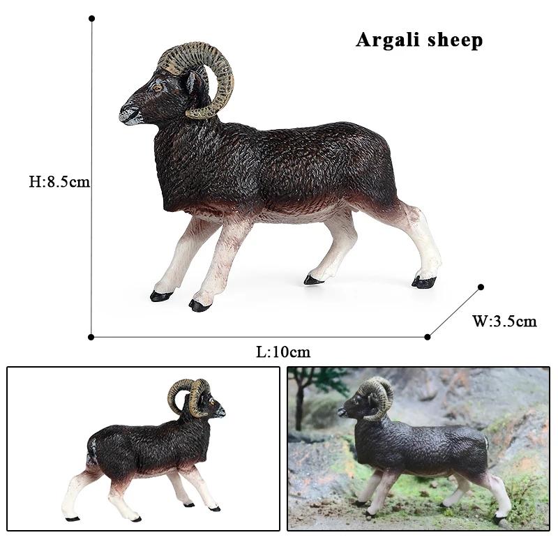 Oenux Clasic Animale de Fermă Simulare Oaie Capră Argali Antilopă Model Figurină de Acțiune Figurine Păsări de Curte Jucărie Drăguță Pentru Copil Cadou