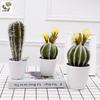 Oulifei Premium Artificial Tropical Succulent Cactus Bonsai for Home Decor