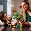 LEGO Ideas Winnie the Pooh 21326 – Multi-Color