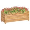 VidaXL Raised Bed 100x40x38 Cm Solid Teak Wood and Steel 47422