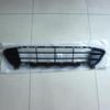 BMW F49 X1 Front Bumper Center Grille (Part 51119451705)