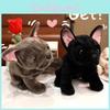 Bulldog French Cute Plush Toy Stuffed Doll For Kids Bedroom Decor Playtime And
