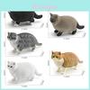 Black Cat Pvc Animal Model For Home Decor Kids Learning Gift Souvenir