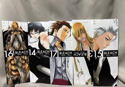 [USED] BLEACH Animate Bonus Long Illustration Card