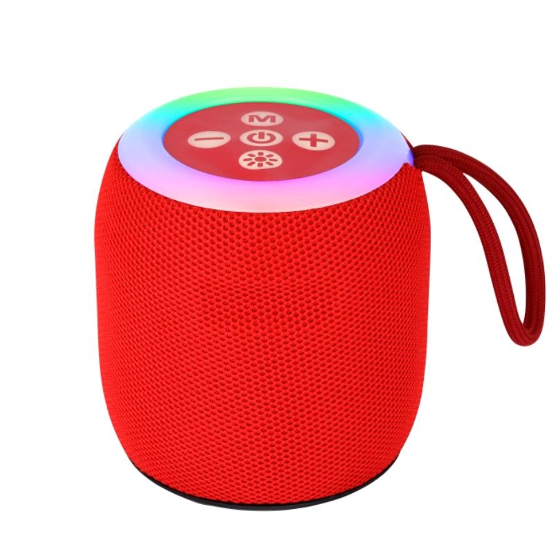 Altoparlanti Bluetooth Portatili, Altoparlante Bluetooth Wireless, Bassi Profondi, Altoparlanti da Esterno con Maniglia, Supporta Scheda TF per Esterno