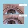 TALIKA Lipocils Eyelash Serum EX 10ml with 70th Anniversary Design Packaging and Pouch