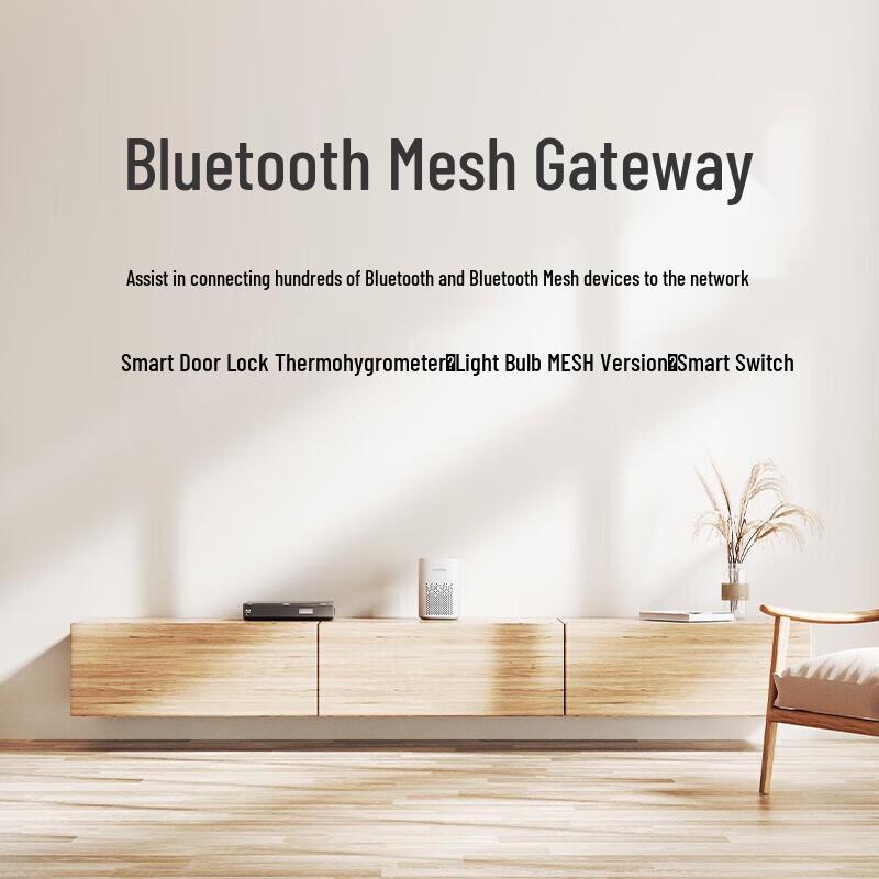 Xiaomi Xiaoai Speaker Play CN plug (adapter included)