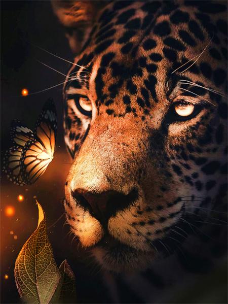 5d Diamant Malerei voller Bohrer Tiger Löwe Quadrat/Runde Stickerei Kreuzstich Tiere Mosaik Kristall Home Decor