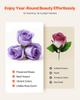 Forever Flowers, 50 Preserved Roses In a Box, Eternal Flowers Immortal Bouquet Birthday Present for Women Her Wife Mothers, Anniversary, Valentine's